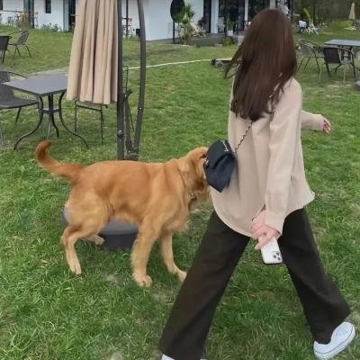 马里布录像带